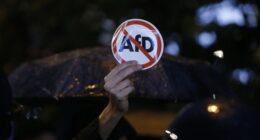 German Social Democrat Party Scrambling to Get AfD Banned – HotAir