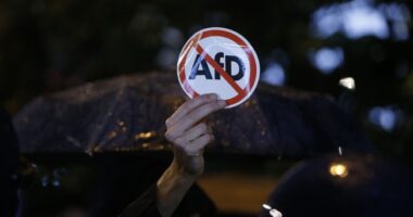 German Social Democrat Party Scrambling to Get AfD Banned – HotAir