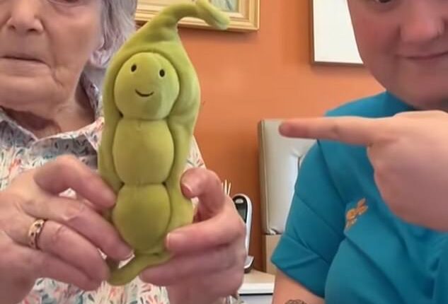 Brenda Allen, who resides in a Majesticare Luxury Care Homes branch in Evesham, has begun collecting Jellycats
