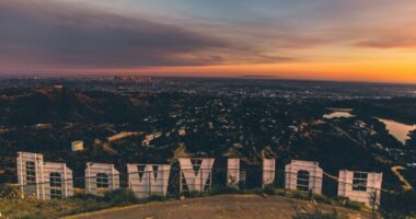 Guy Who Plowed Car Into Crowd in Lawless LA Is Just Who You'd Expect in California – RedState
