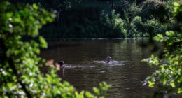 Hampstead Heath’s Ladies’ Pond has always been about inclusivity – long may that continue