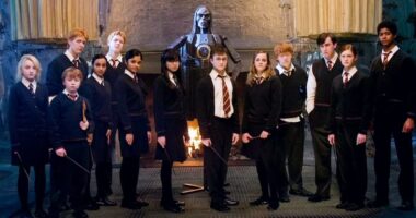 Harry Potter Star's Most Celebrated Performance Finally Sets Theatrical Release Date