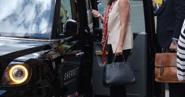 The Duke and Duchess of Sussex last night denied leaking details of the rendezvous between Meredith Maines (pictured) and the King¿s communications secretary Tobyn Andreae