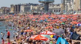 A warning of the potential rise in heatwave-induced deaths has been issued across England as temperatures soar towards 35C, with Scotland, Wales and Northern Ireland all recording their warmest day of the year (Brighton Beach pictured yesterday)