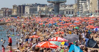 A warning of the potential rise in heatwave-induced deaths has been issued across England as temperatures soar towards 35C, with Scotland, Wales and Northern Ireland all recording their warmest day of the year (Brighton Beach pictured yesterday)