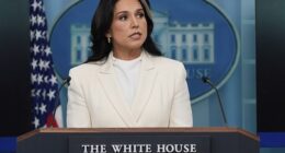 Director of National Intelligence Tulsi Gabbard levied a series of shocking charges against Hillary Clinton