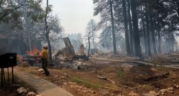 The Grand Canyon Lodge, the only lodging inside the park at the North Rim, has been ravaged by the Dragon Bravo Fire (pictured)