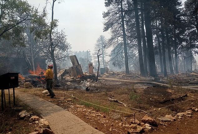 The Grand Canyon Lodge, the only lodging inside the park at the North Rim, has been ravaged by the Dragon Bravo Fire (pictured)
