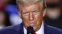 How America’s economic policies are copying Trump’s aggressive business tactics