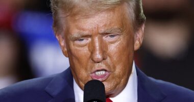 How America’s economic policies are copying Trump’s aggressive business tactics