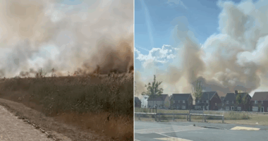Huge blaze breaks out in Essex field as firefighters battle wildfires across UK