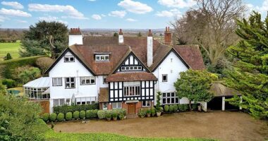 The family home: The six bedroom property in Taplow in Buckinghamshire is on the market for £3.75 million - some 50 years after the Wogans moved in