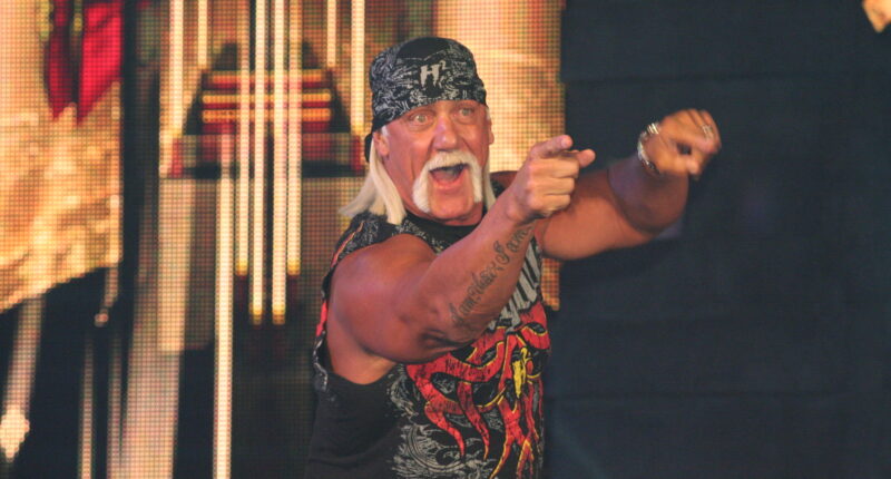 Hulk Hogan Was The Hero We All Needed