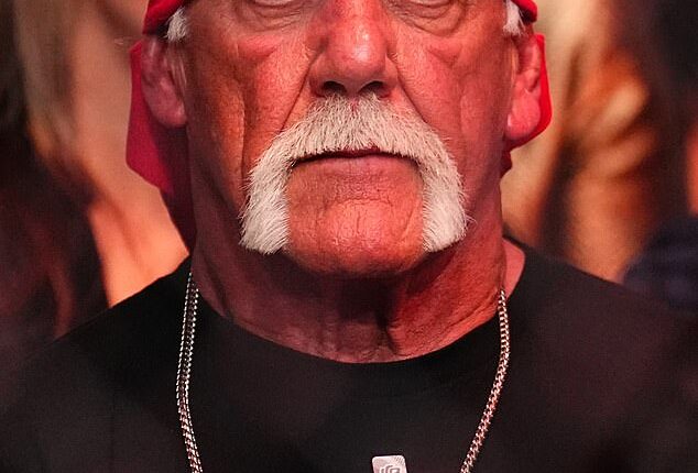 Wrestling legend Hulk Hogan has died aged 71 - pictured December 2024