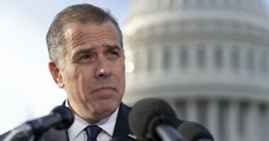 Hunter Biden Is Running For President – HotAir