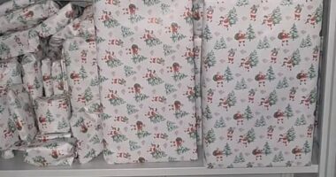 British mother Char Chandler, took to her TikTok to showcase her 'Christmas cupboard' where she has been storing her children's wrapped gifts and festive goodies until December