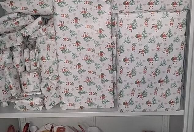 British mother Char Chandler, took to her TikTok to showcase her 'Christmas cupboard' where she has been storing her children's wrapped gifts and festive goodies until December