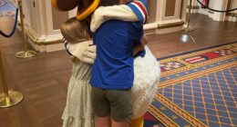 Disney joy: But, like Donald, you can have a huge bill if you take your family to the Paris attraction