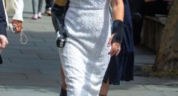 Sarah de Lagarde was left fearing she was going to die after she fell through the gap between a train and the platform at High Barnet station in north London in September 2022