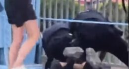 Shocking footage showed one officer punching a protester several times as police wrestled him to the ground