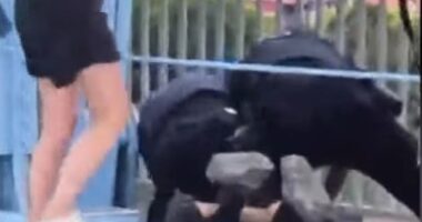 Shocking footage showed one officer punching a protester several times as police wrestled him to the ground