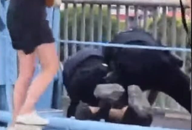 Shocking footage showed one officer punching a protester several times as police wrestled him to the ground