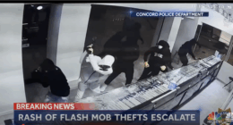 Illegal Aliens Help Fuel Explosive Transnational Retail Theft Rings