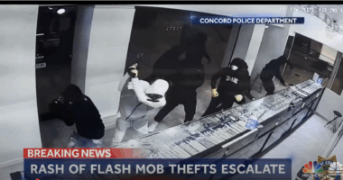 Illegal Aliens Help Fuel Explosive Transnational Retail Theft Rings