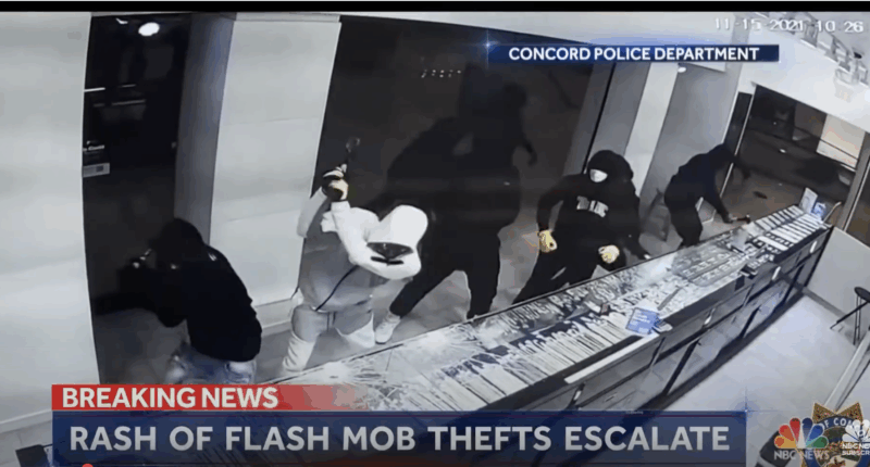 Illegal Aliens Help Fuel Explosive Transnational Retail Theft Rings