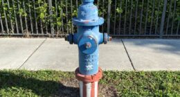 In 1976 We Celebrated The Bicentennial By Painting Fire Hydrants