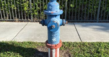 In 1976 We Celebrated The Bicentennial By Painting Fire Hydrants