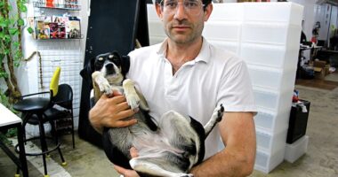 Celebrity Net Worth logo