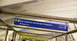 Increasing immigration can improve the finances of Social Security