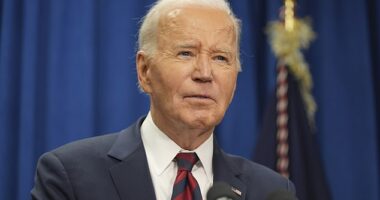 The 'after-action review' commissioned by the Democratic National Committee (DNC) won't probe the timing of Biden's decision to stand down last year