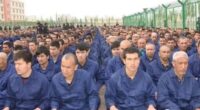 Horrifying accounts of sexual abuse, torture, forced confessions and human experimentation in Chinese prisons have led rights groups to accuse the country of crimes against humanity