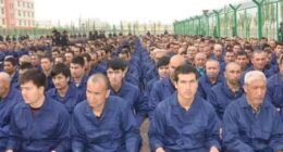 Horrifying accounts of sexual abuse, torture, forced confessions and human experimentation in Chinese prisons have led rights groups to accuse the country of crimes against humanity