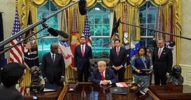When history teachers of the future attempt to explain Donald J. Trump to bewildered students, they may reach for the usual adjectives — bombastic, disruptive, idiosyncratic, theatrical. But the most accurate descriptor might be simpler: Decisive