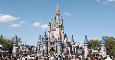Get ready, Disney fans, because there's a dating app coming that's designed to help single theme park enthusiasts find their happily ever after (stock image)