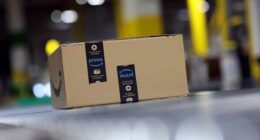 Is Amazon’s Prime Day sale losing its appeal? Some early data suggest shoppers are spending less this year.