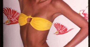 Janice Dickinson is a 70-year-old supermodel from the 1990s who used to have the world on a string