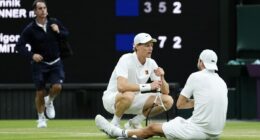 Jannik Sinner gets reprieve as Grigor Dimitrov forced to quit when two sets up