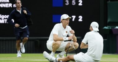 Jannik Sinner gets reprieve as Grigor Dimitrov forced to quit when two sets up