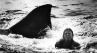 Jaws 2: A Movie Where the Novelization Was Better