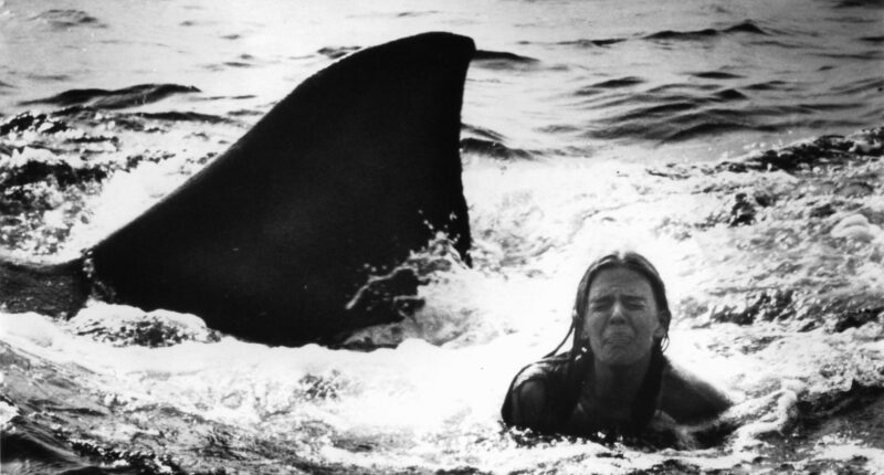Jaws 2: A Movie Where the Novelization Was Better