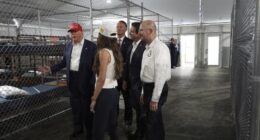 Jobs for Americans Up, Jobs for Immigrants Down – HotAir