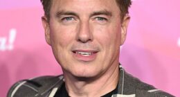 Barrowman described allegations of flashing a crew member as 'a bit of a carry on'