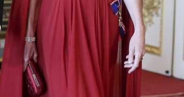 The Princess of Wales dazzled in deep crimson this evening as she stepped out for the State Banquet held in honour of French President Emmanuel Macron