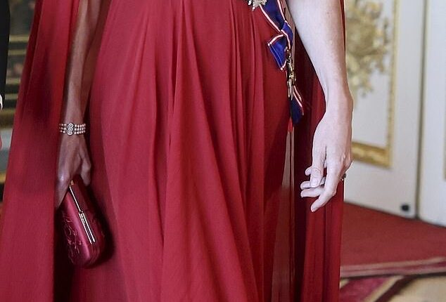 The Princess of Wales dazzled in deep crimson this evening as she stepped out for the State Banquet held in honour of French President Emmanuel Macron