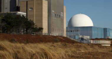 Labour announce plans to build £38bn Sizewell C nuclear plant
