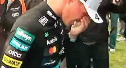 Lando Norris suffered a cut to his nose while celebrating his win at Sunday's British Grand Prix